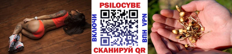 где можно купить   Пустошка  Галлюциногенные грибы GOLDEN TEACHER 